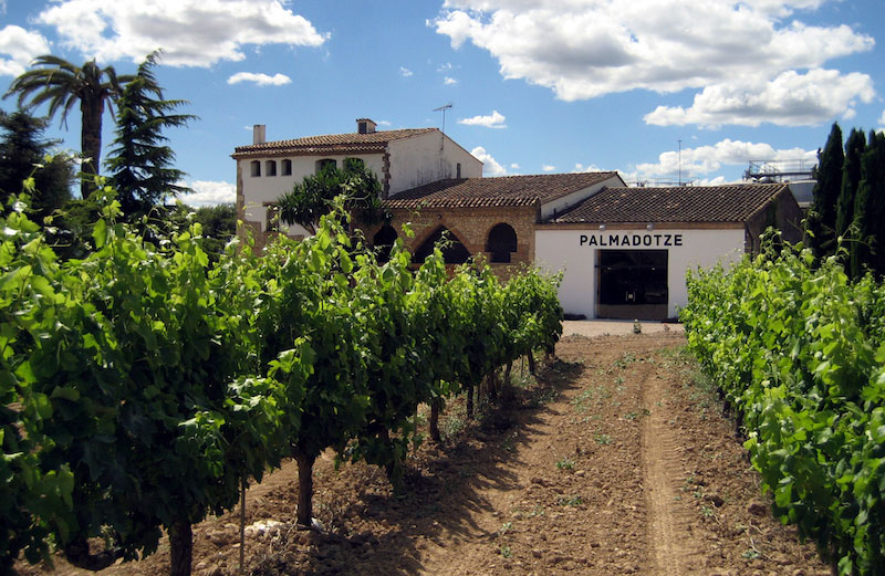 PALMADOTZE