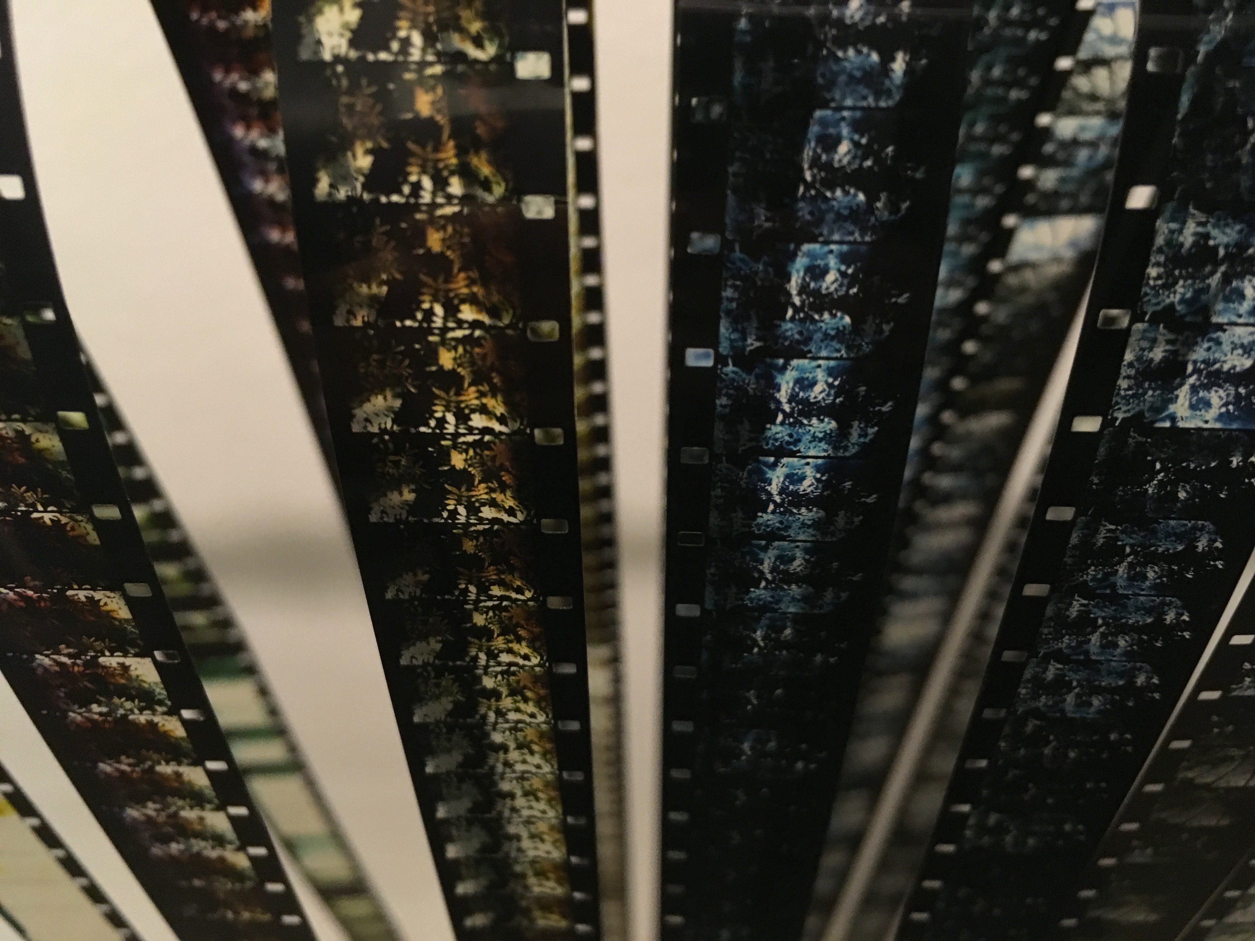 Even Silence Is Cause of Storm