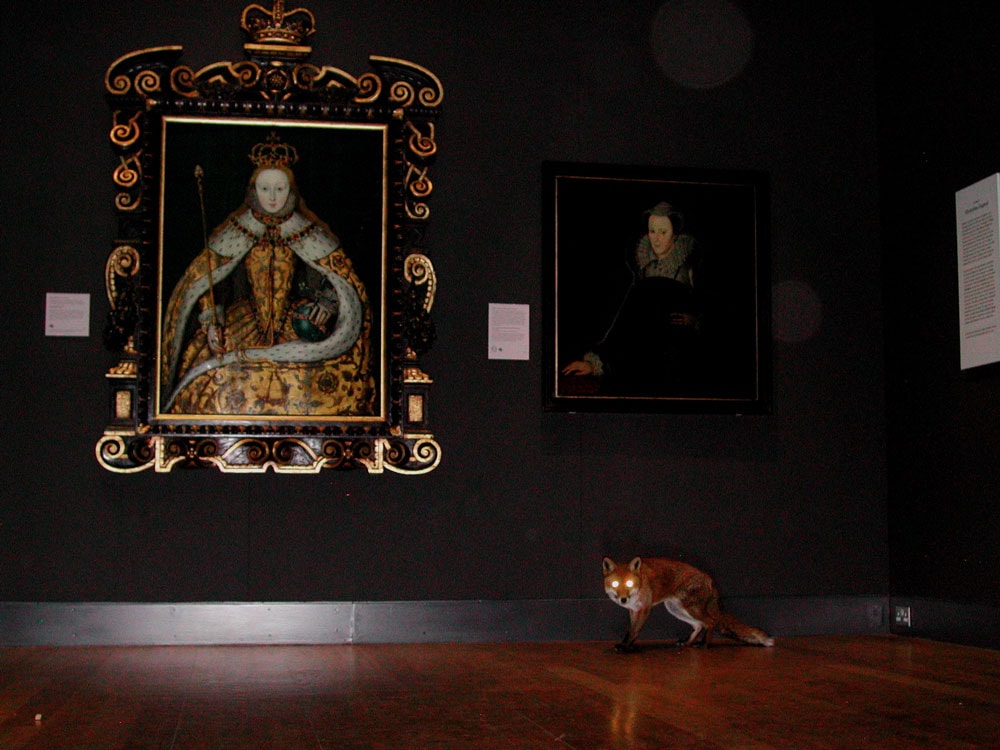 Vídeo-Régimen. Coleccionistas en la era audiovisual