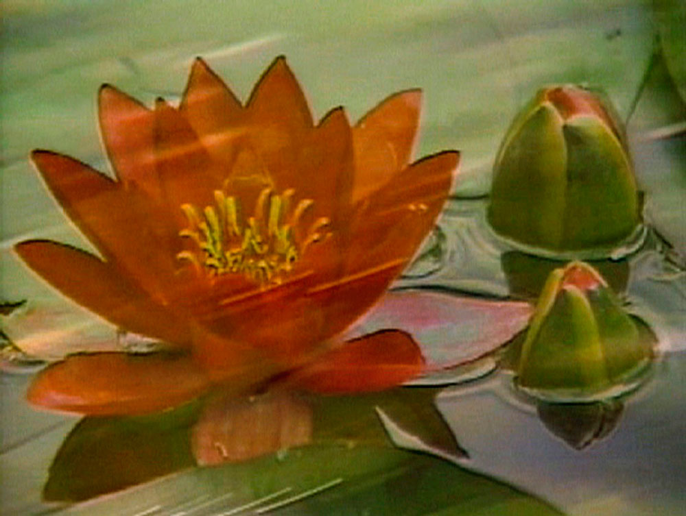 VIDEO REWIND: Mary Lucier