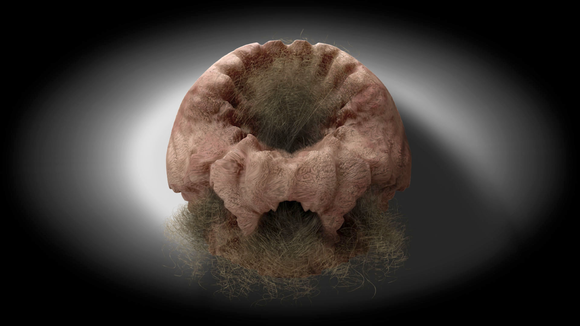 El fuego de la visión