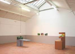 In Situ/ Fabienne Leclerc