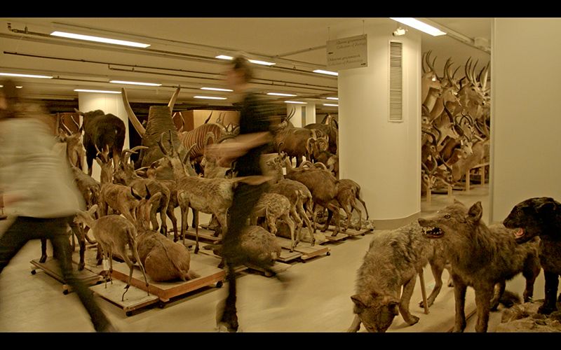 Stone. Paper. Skin (made in collaboration with Jon Dean)