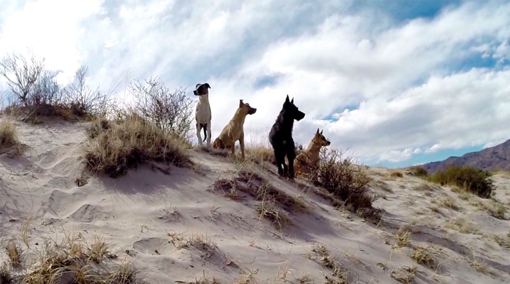 Galería Senda (Mezzanina)