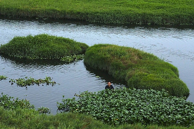 'Measuring with a Bent Stick'. Courtesy of Council