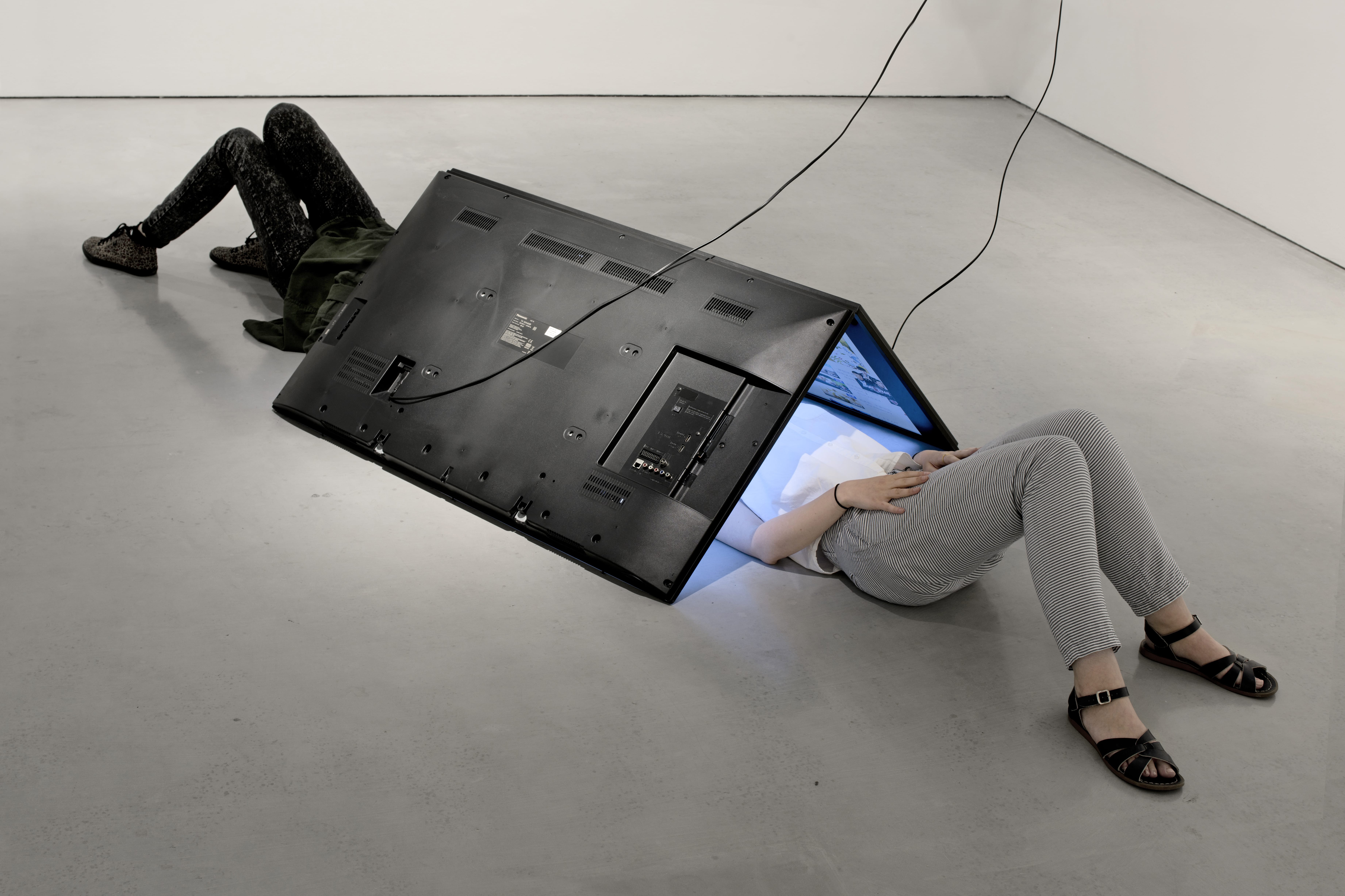 'Happens or it didn't pic' by Eva and Franco Mattes at Blueproject Foundation