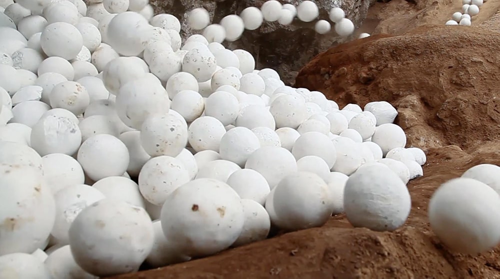 La forma dels temps: pròleg