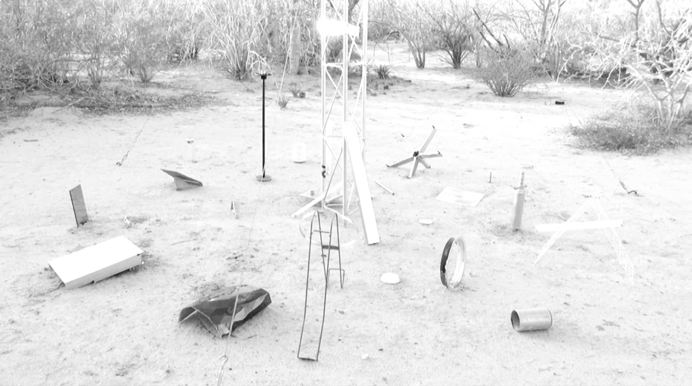 Julia Llerena. Estación Biológica