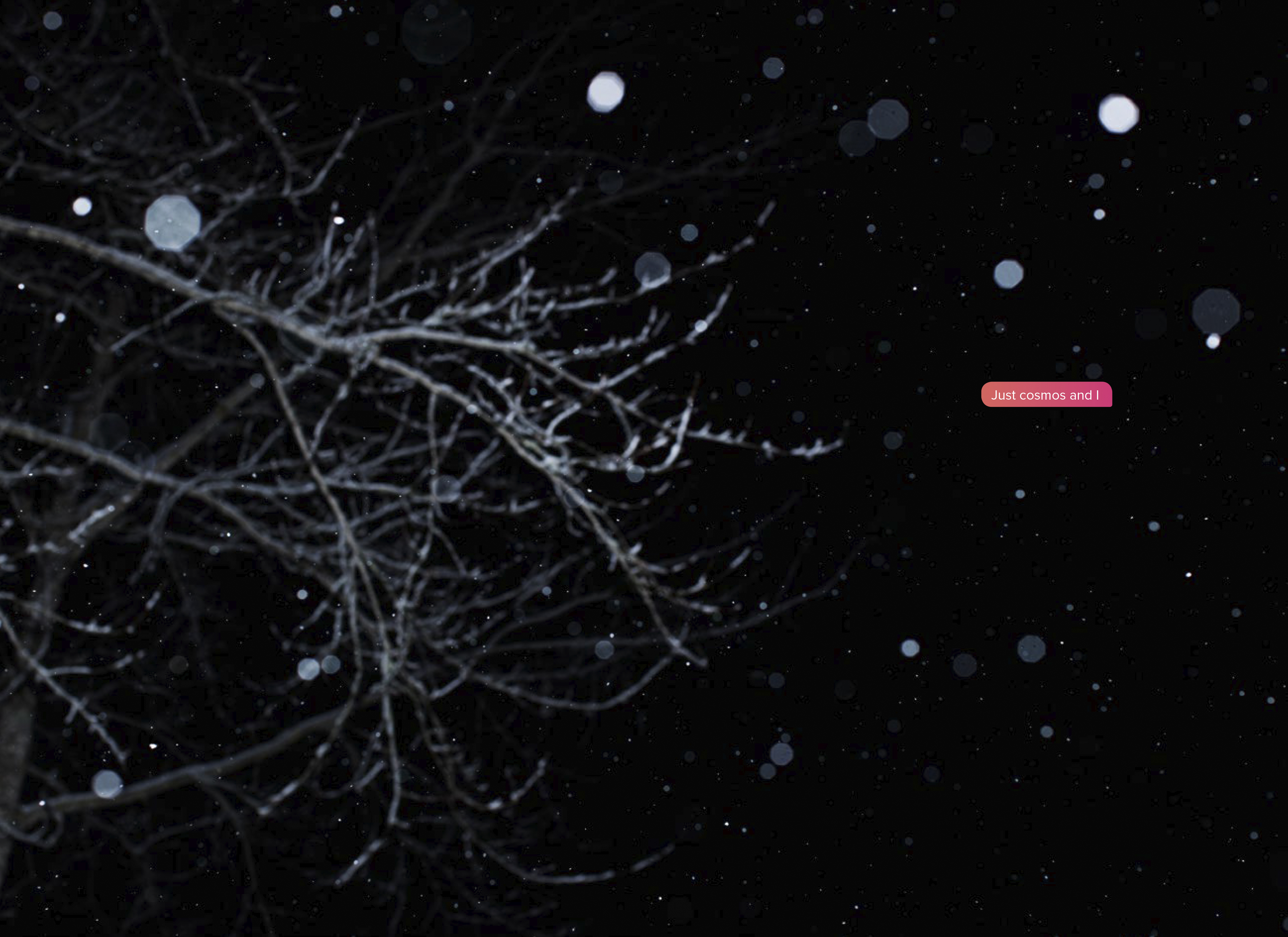 Toni Amengual, 'Androids in the woods', 2017