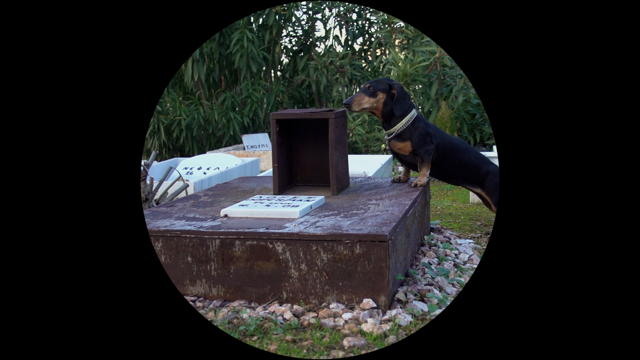 No one will kill you, any more than if you were a corpse