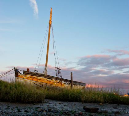 Arts Catalyst: in between disciplines and situated knowledge