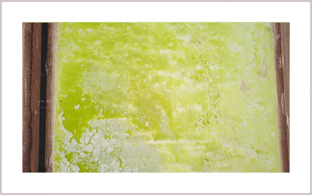 Maria Elena: behind the making