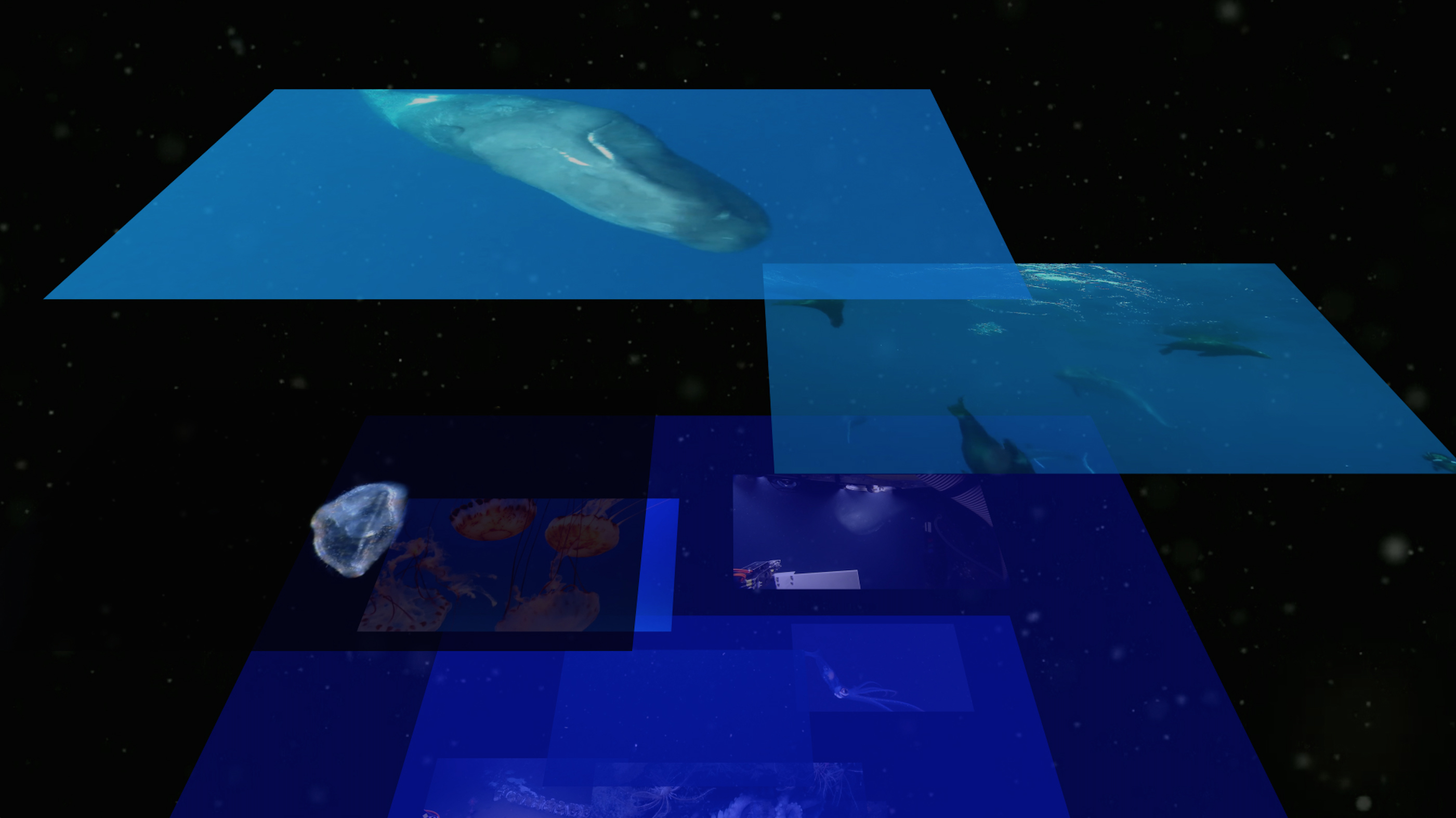 Inhabitants. What Is Deep Sea Mining?