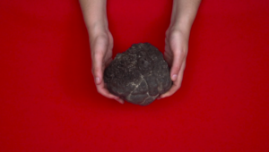 What is Deep Sea Mining? Episode 3: The Azores Case