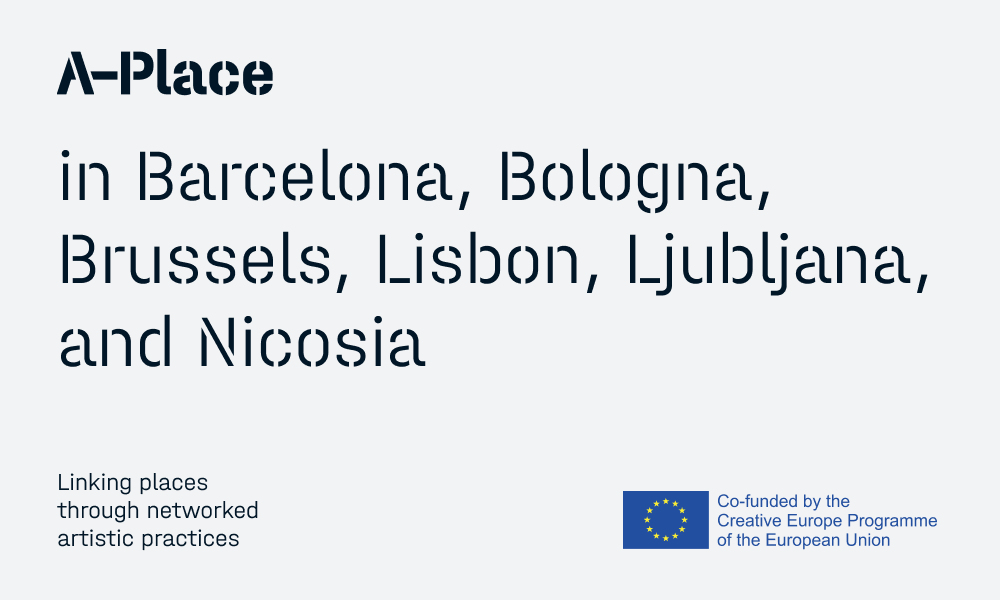 A-Place. Linking places through networked artistic practices
