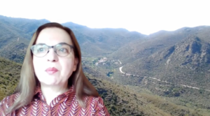 Presentació a càrrec de la comissària