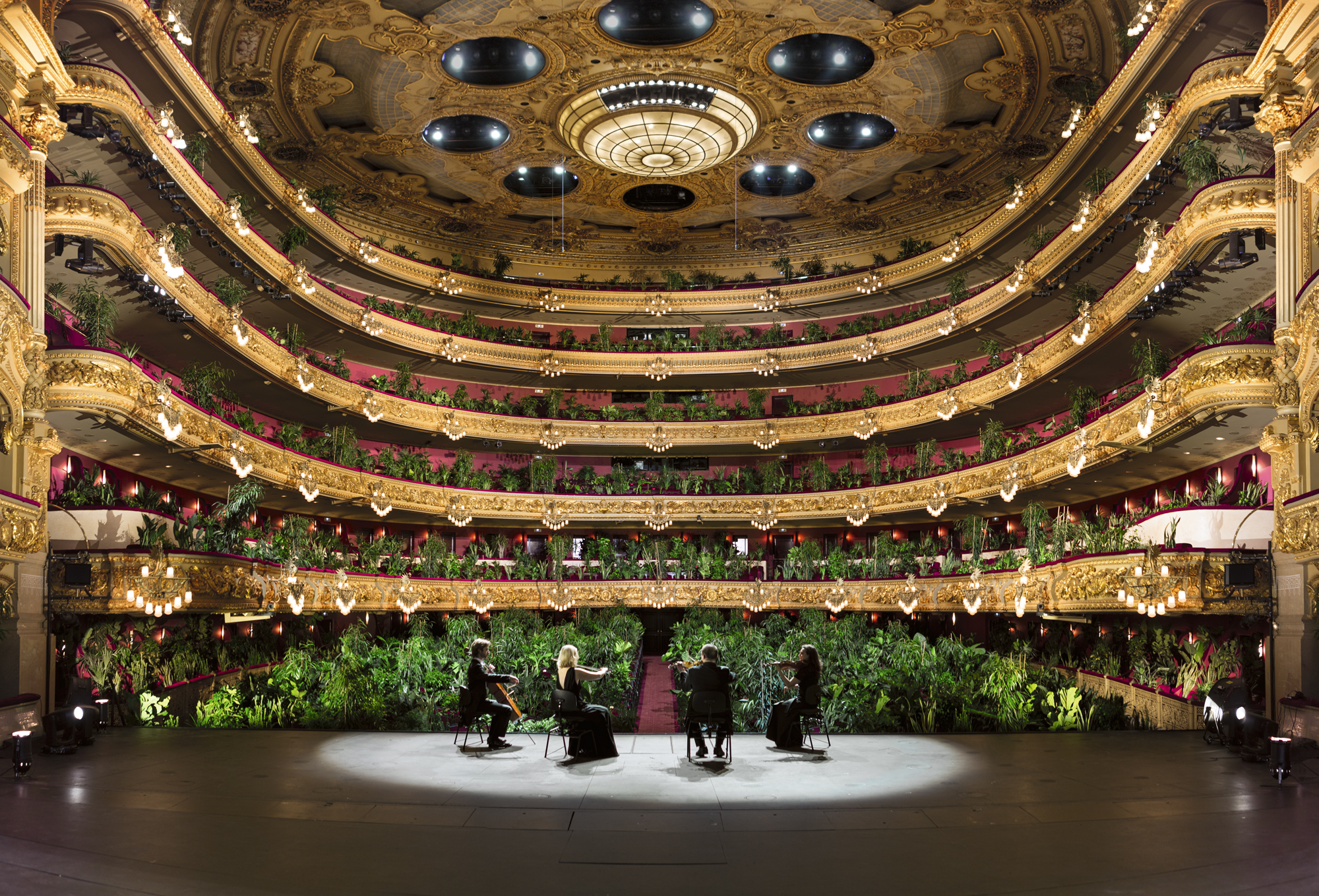 Concierto para el Bioceno