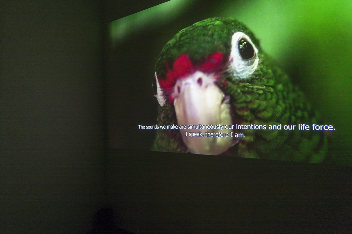 “You be good. I love you.»