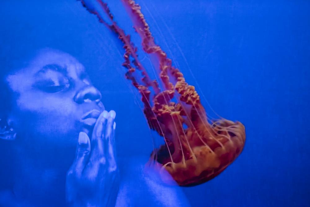 Desiree Morris, "Sopera de Yemayá", 2020. Still from video, Courtesy of TBA21 and the artist