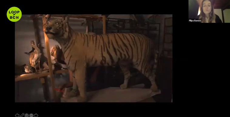 LOOP Talks 2020: ‘Three Tiger Tales’