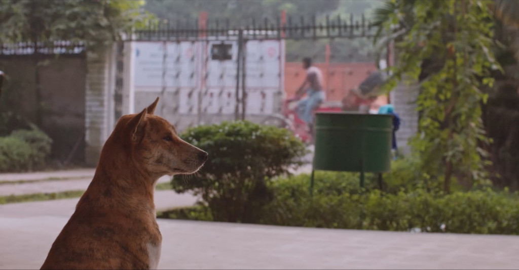 Daniel Steegmann Mangrané, 'Fog Dog', 2019-2020. 2k vídeo, color, stereo sound, 47'37''. Courtesy of the artist and Esther Shipper.