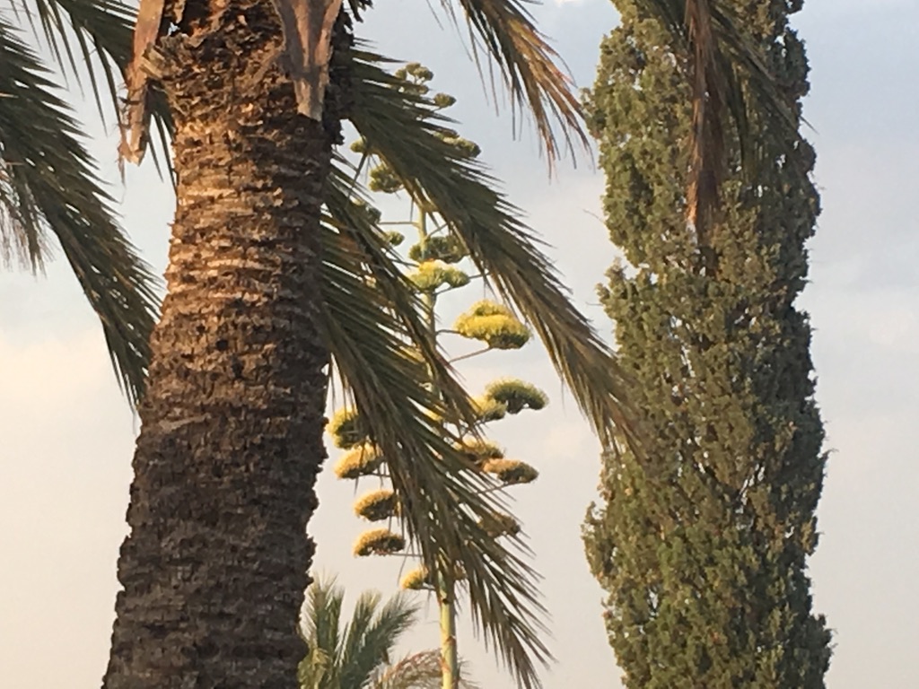 Still from "Beans, Rinsed Twice". Courtesy by the artists.