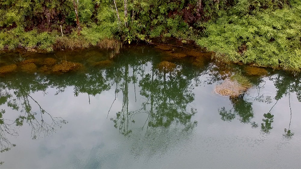 'CATABASIS', Regina de Miguel, 2020. Still from the video. Courtesy of the artist. 