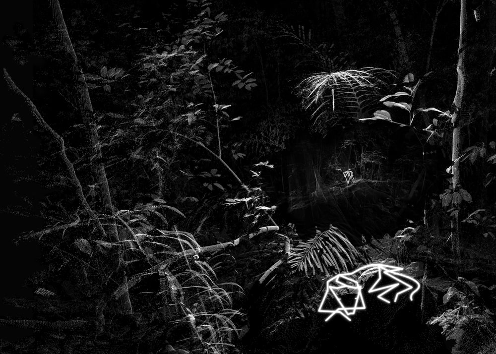 A Dream Dreaming a Dream