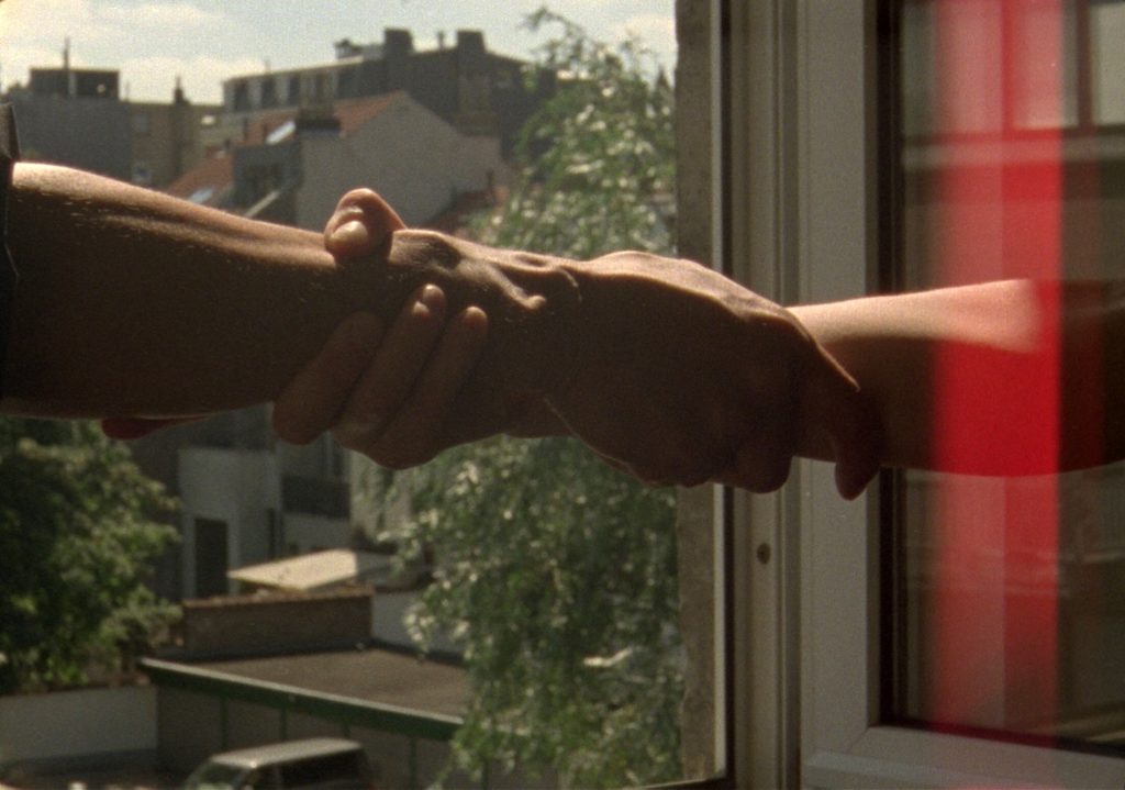 Mascarilla 19 – Codes of Domestic Violence