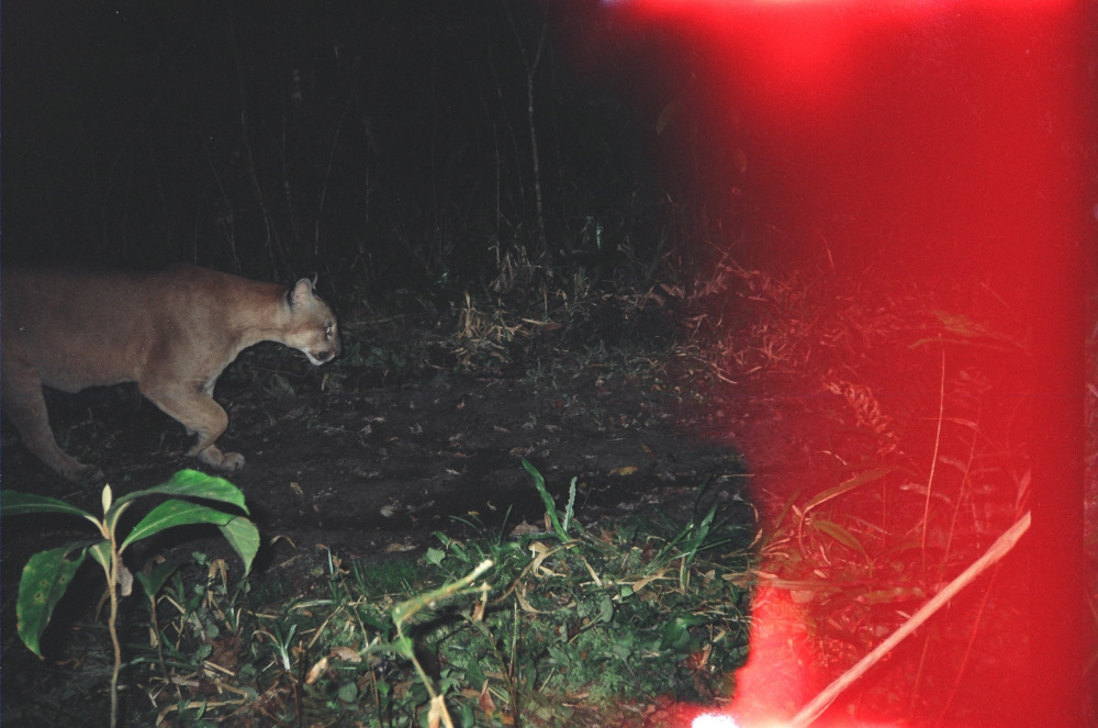 Adrià Julià. Conquest of the Useless