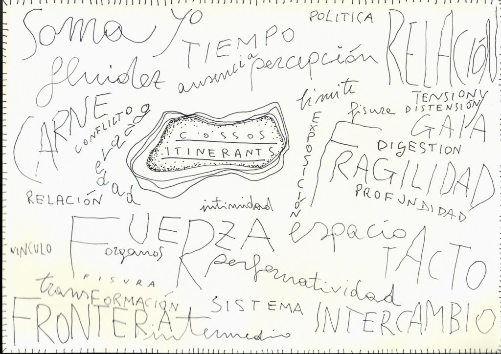 ‘Cossos Itinerants'[Cuerpos Itinerantes]: acciones performativas en el espacio público