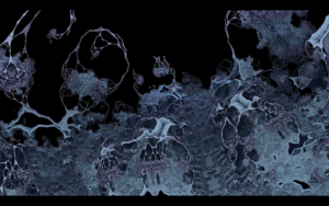 Augures Mathematiques 1