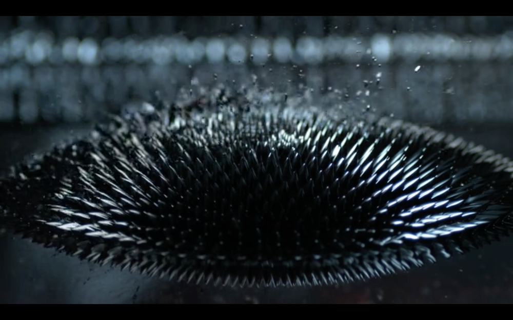 Hicham Berrada, 'Les Fleurs 3', 2016. Courtesy of the artist