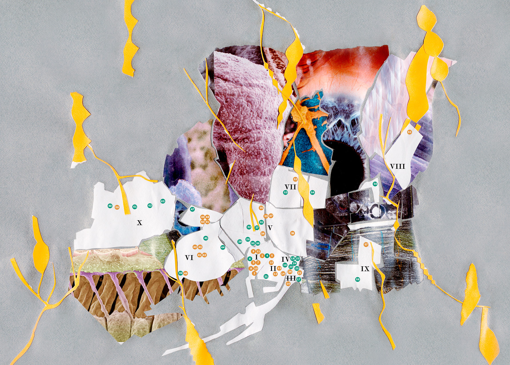 Mapa de la edición 2021 concebido por la artista  Ariadna Guiteras en colaboración con el  diseñador gráfico Alex Gifreu. 