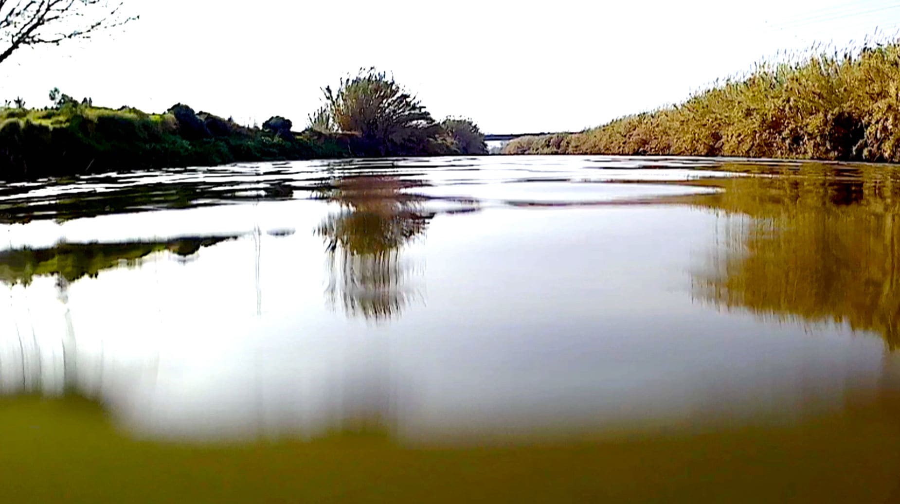 Sitesize. ‘TERRApolis’