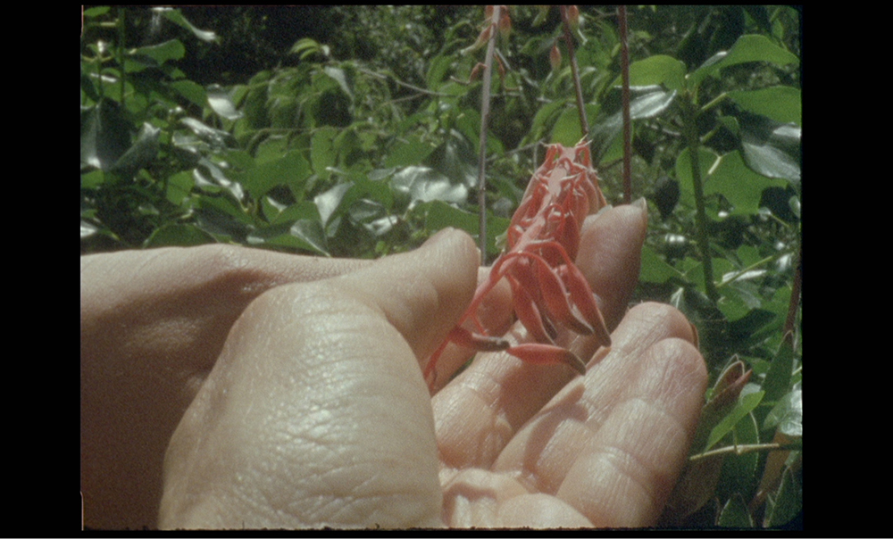 1+1+1+…: Bárbara Sánchez Barroso and Adriana Vila Guevara. ‘The knots we knot’