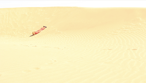 1+1+1…: Matilde Amigo. ‘Believe II’