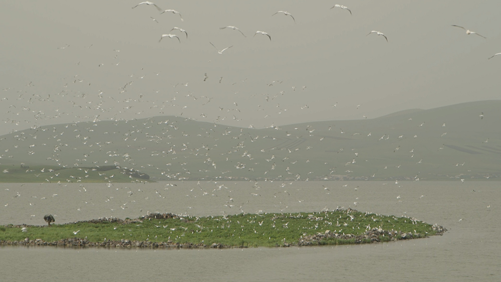 Tekla Aslanishvili. ‘A State in a State’