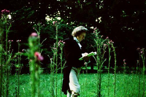 Albert Serra. ‘The Three Little Pigs’