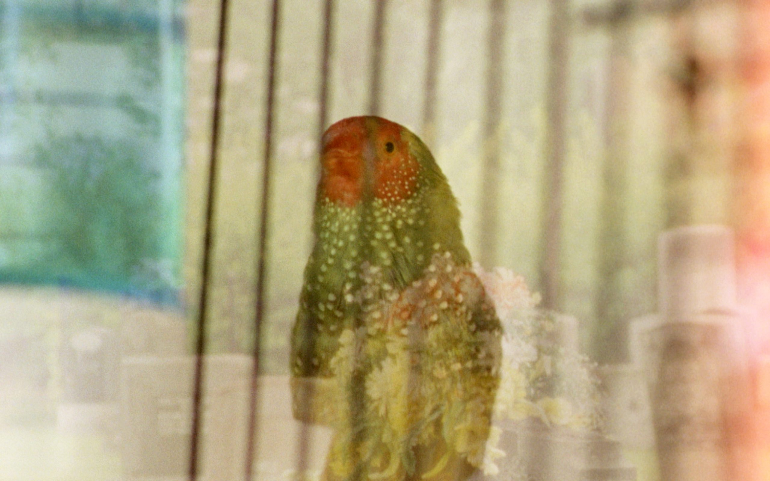 Basim Magdy, 'The Dent', 2014. Pel·lícula super 16 mm transferida a vídeo Full HD, 19’ 02’’. Imatge cortesia de l'artista. 