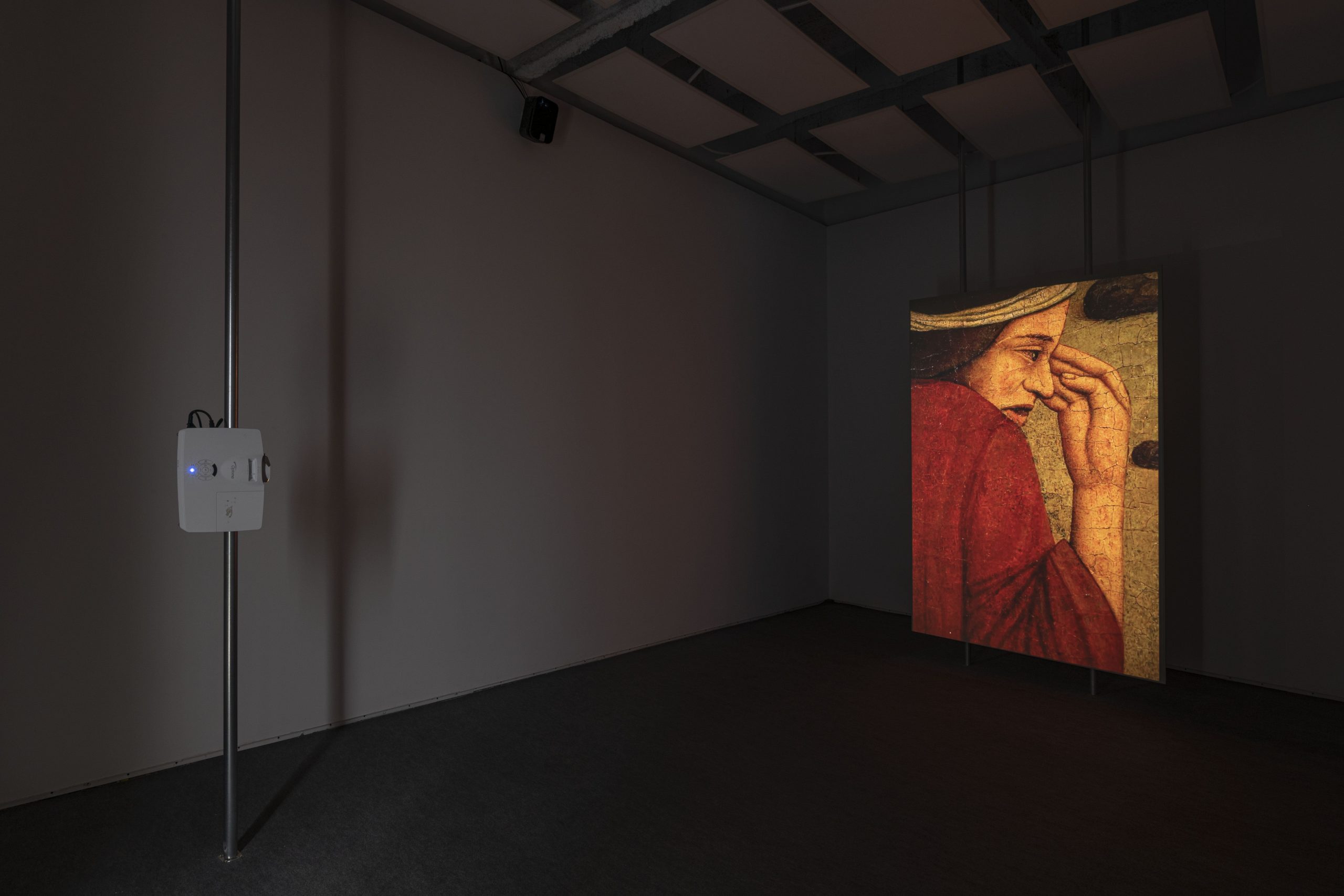 Eulàlia Rovira i Adrian Schindler. ‘The Plague, the Profit’