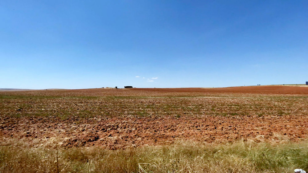 Hans Schabus. ‘Europa 2020-2021’