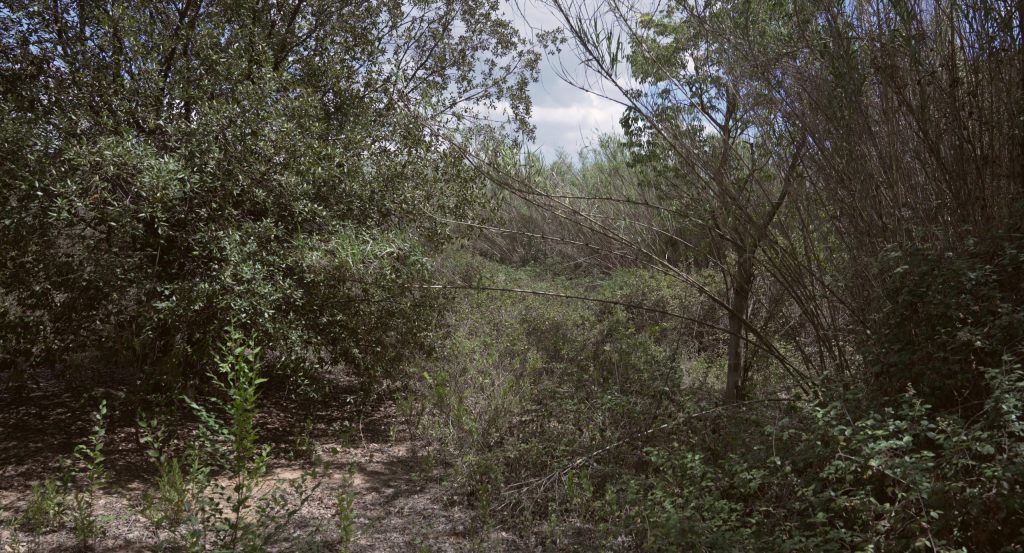 Pau Faus, Victoria Sacco, Pau Subirós. ‘Science, Technology and Documentary Perspective’