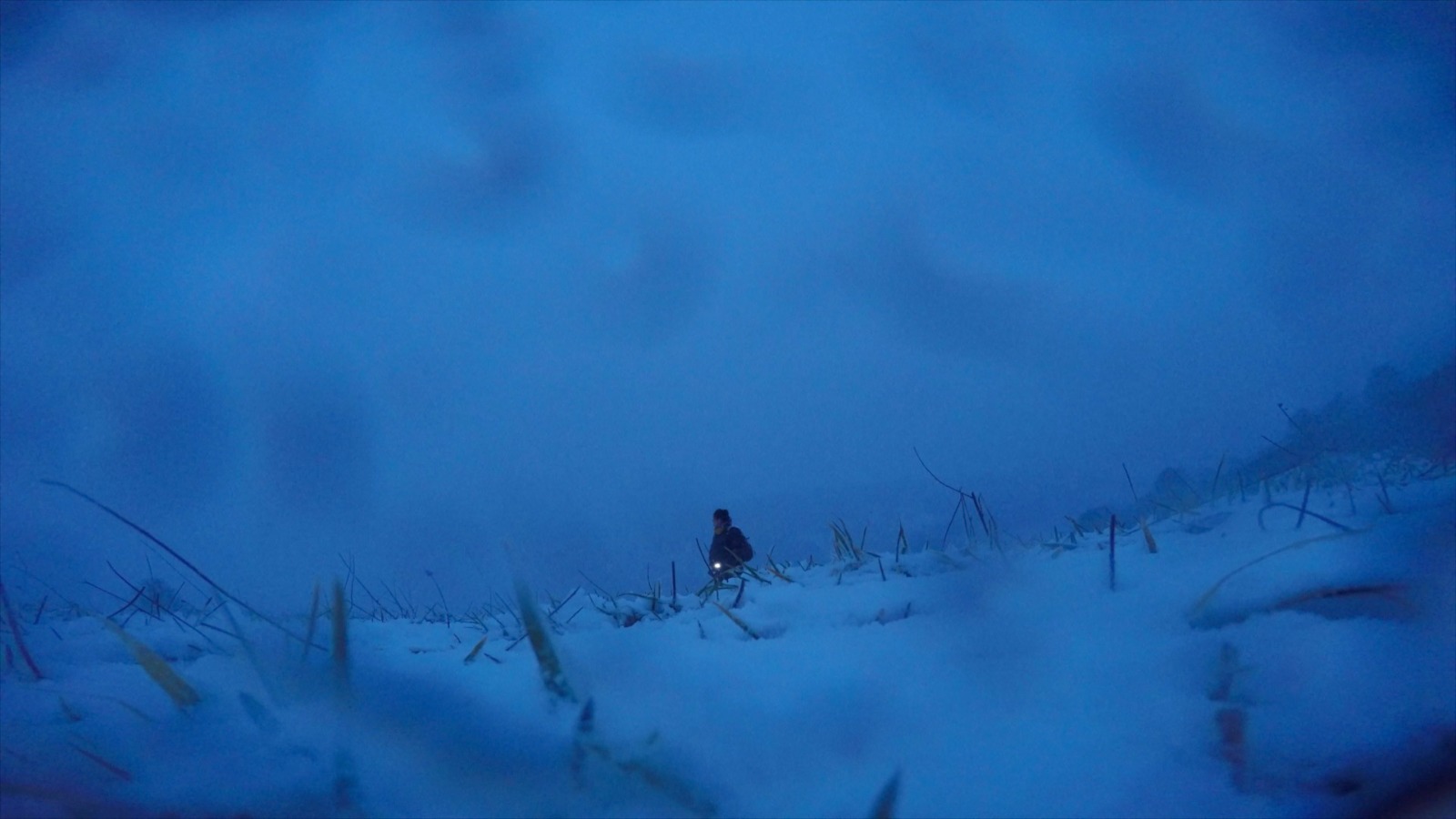 Judith Adataberna. Still of 'Inside the microtubule'. Image courtesy of the artist.