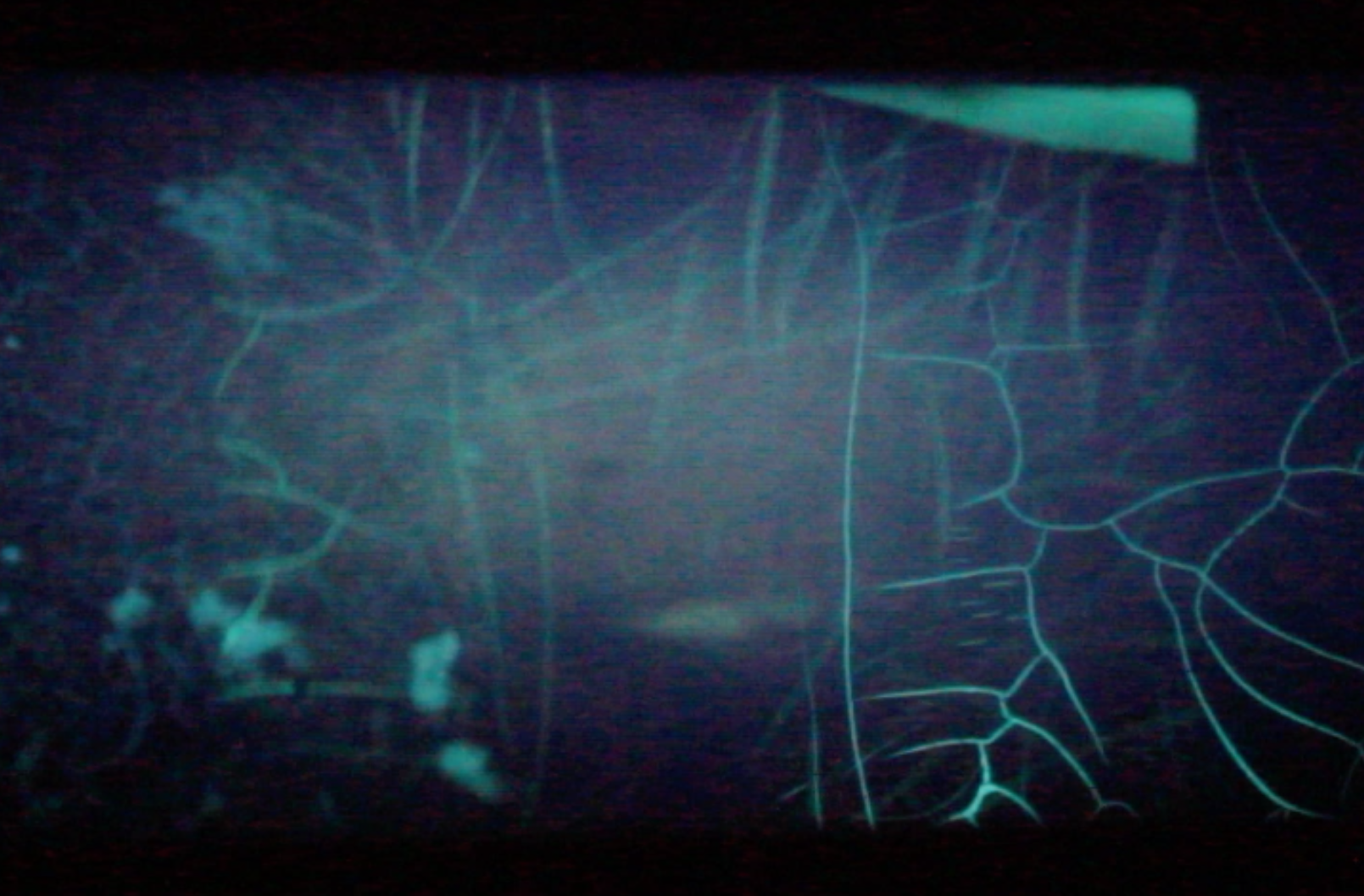 Lichun Tseng & Robert Kroos . Still of 'Ebb and flow'. Image courtesy of the artists.