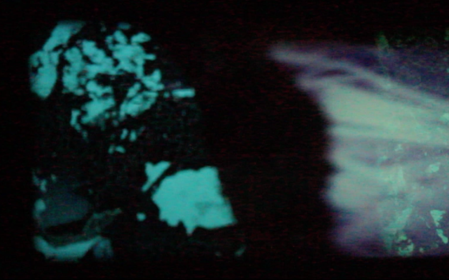 Lichun Tseng & Robert Kroos . Still of 'Ebb and flow'. Image courtesy of the artists.