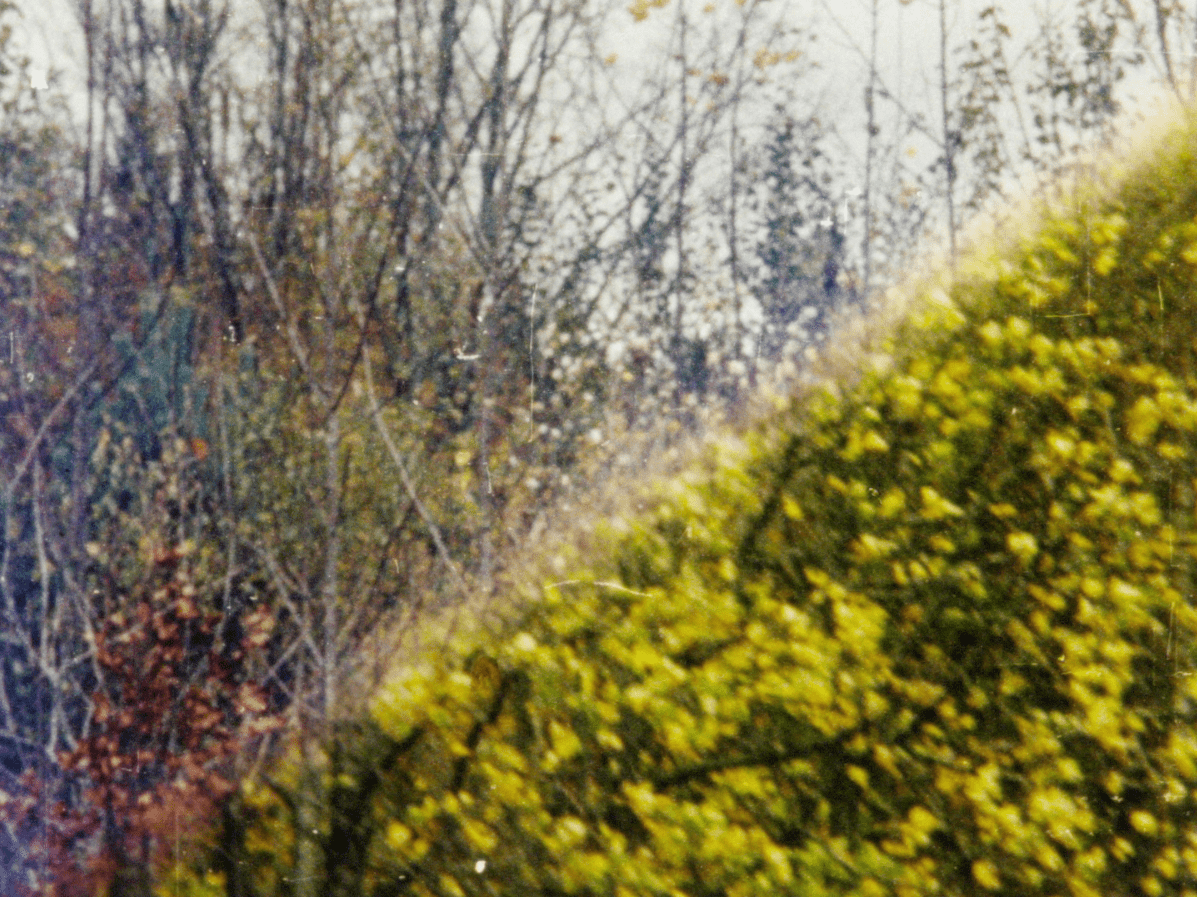  Joyce Lainé + Lucie Leszez. Still of "Sweet Seventeen". Image courtesy of the artists.