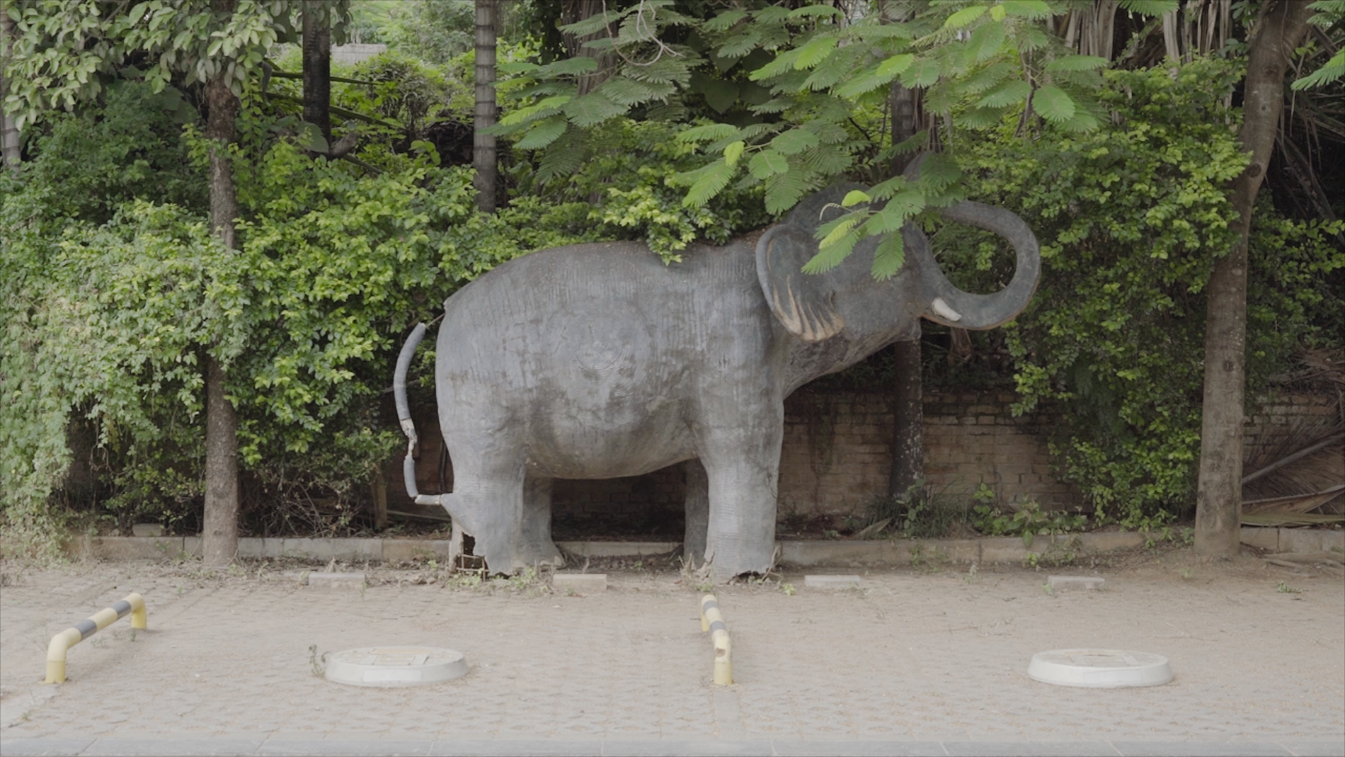 March of the Elephants