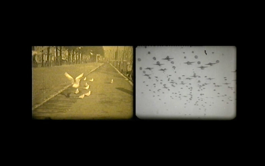 Familia Guerra (Family War)