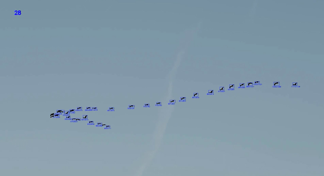 TOUS LES OISEAUX DU MONDE